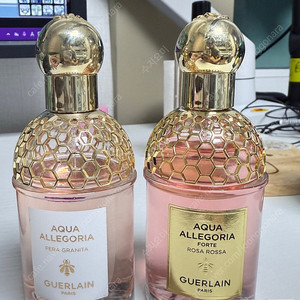 (일괄) 겔랑 아쿠아알레고리아 포르테로사로싸, 페라그라니타