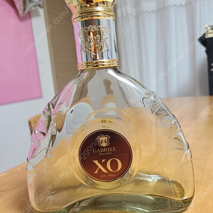 가브리엘 XO 공병