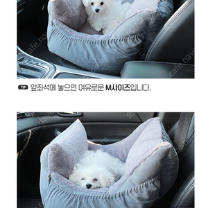 펫테일 애견 카시트 택배가능