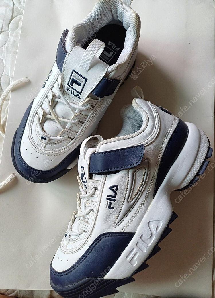 남아 220 필라 프로스팩스 등 이미지