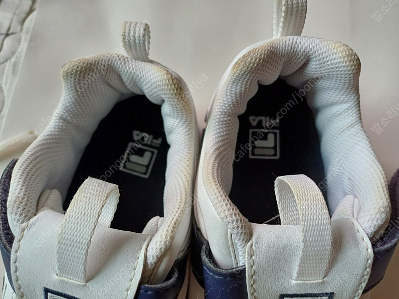 남아 220 필라 프로스팩스 등 이미지