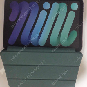 아이패드미니6 256gb 셀룰러(에플케어플러스)