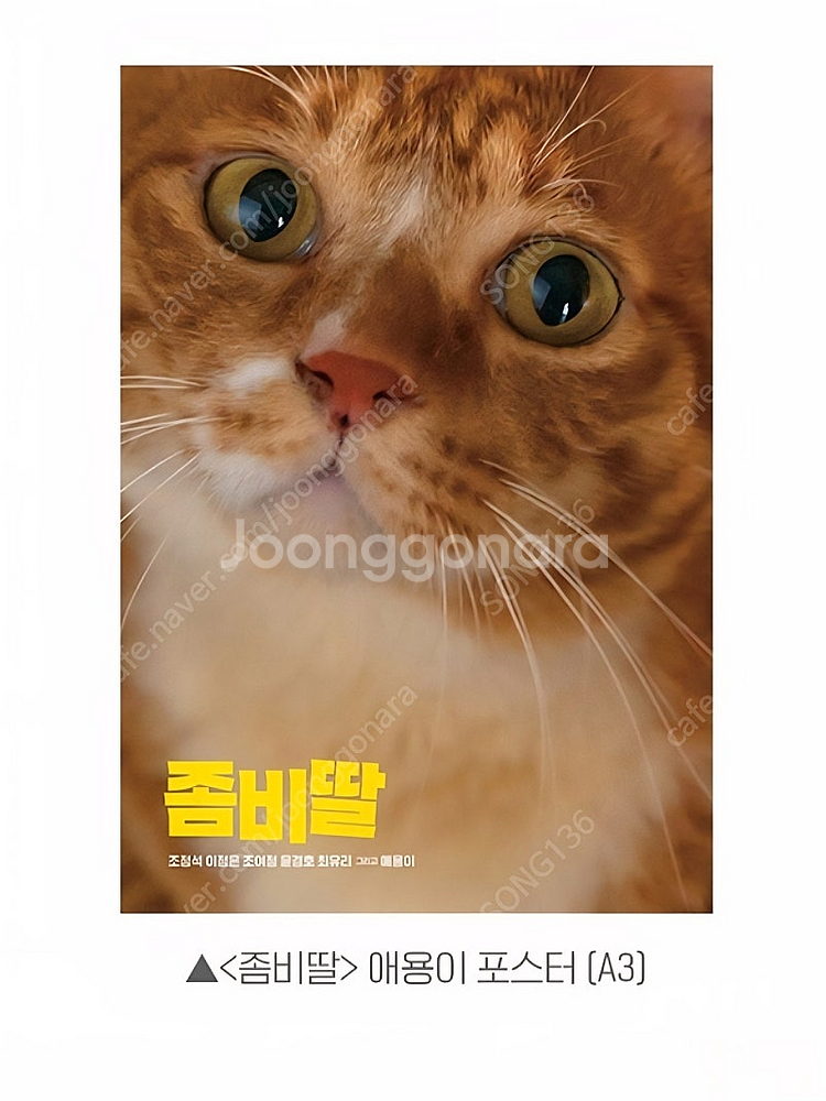 (3종 일괄) 좀비딸 특전 포스터 2종 + PET 세트--2