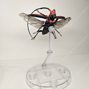 생물대도감 어드밴스 하늘소 무당벌레 등등 스탠드