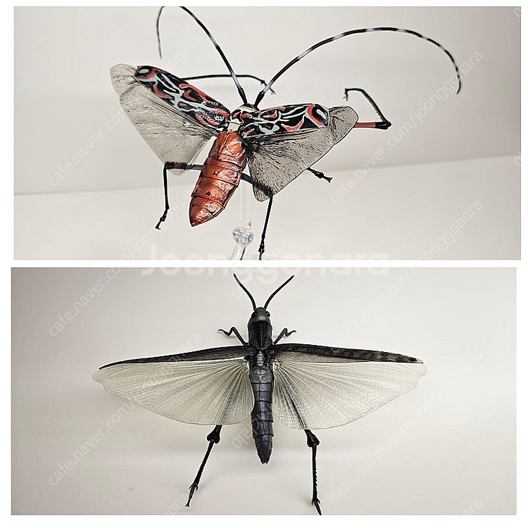 생물대도감 어드밴스 하늘소 무당벌레 등등 스탠드--9