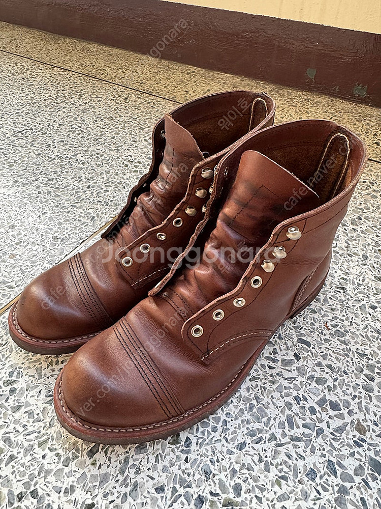 레드윙 아이언레인저 구번 8081 280사이누--0