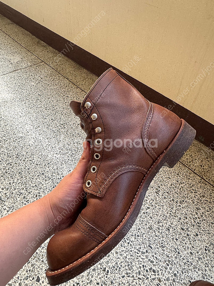 레드윙 아이언레인저 구번 8081 280사이누--5