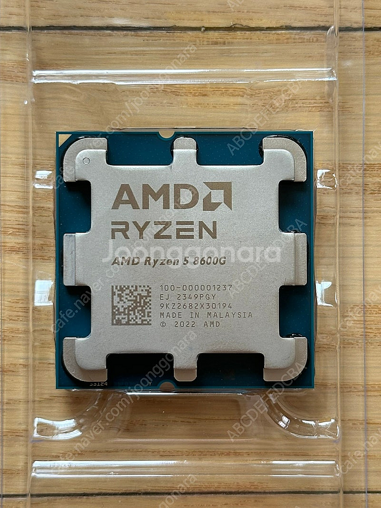 AMD Ryzen 5 8600G (Phoenix) 라이...--0
