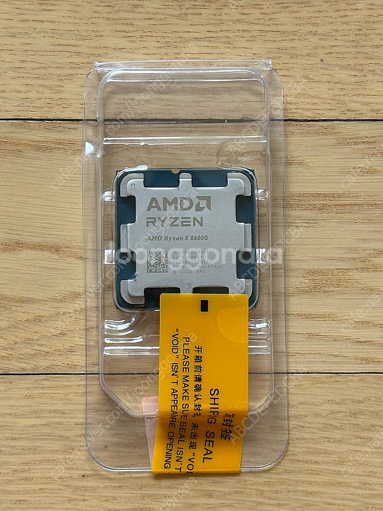 AMD Ryzen 5 8600G (Phoenix) 라이...--1