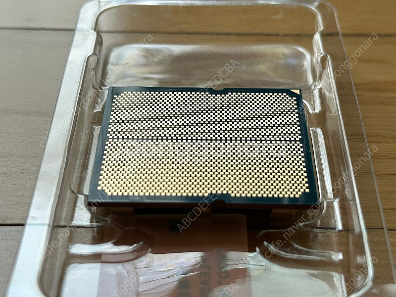 AMD Ryzen 5 8600G (Phoenix) 라이...--2