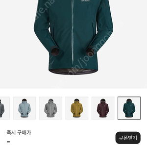 아크테릭스 제타 sl 라비린스 팜