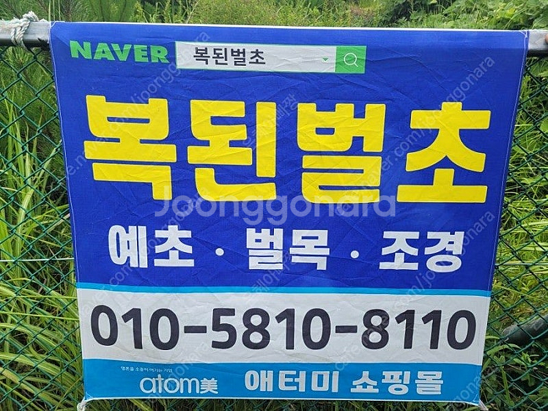 예초기로 벌초대행--0