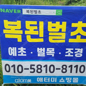 예초기로 벌초대행