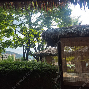 캐리비안베이 오후권2시이후 4장 장당만원 오늘한정