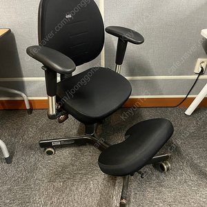 니스툴 N750 컴퓨터의자 무릎의자