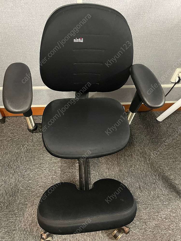 니스툴 N750 컴퓨터의자 무릎의자--2