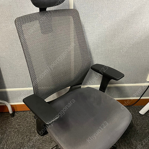 사이즈오브체어 베이직 L (구 XL) 판매