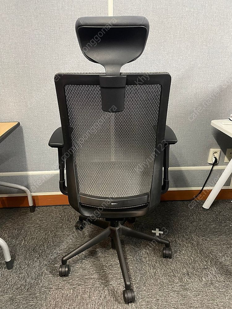 사이즈오브체어 베이직 L (구 XL) 판매--2