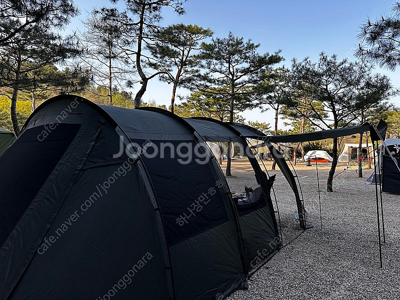 코베아 몬스터 딥카키 판매합니다--2