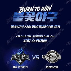 불꽃야구 2연석