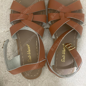 솔트워터 오리지날 4W6 탄 색상