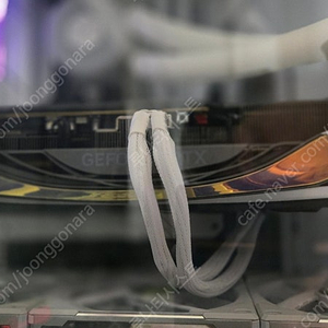 rtx 4090 zotac amp