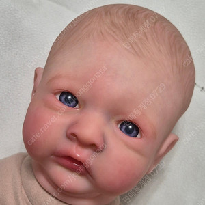 리본돌 Aster by Toby Morgan 정품