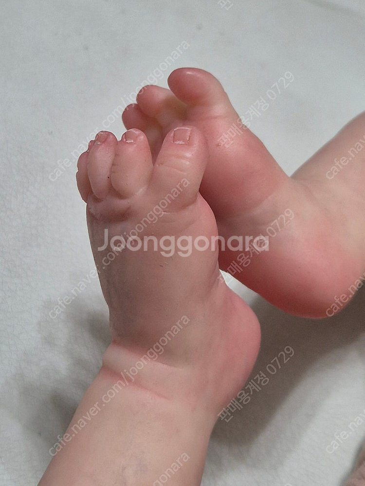 리본돌 Aster by Toby Morgan 정품--1