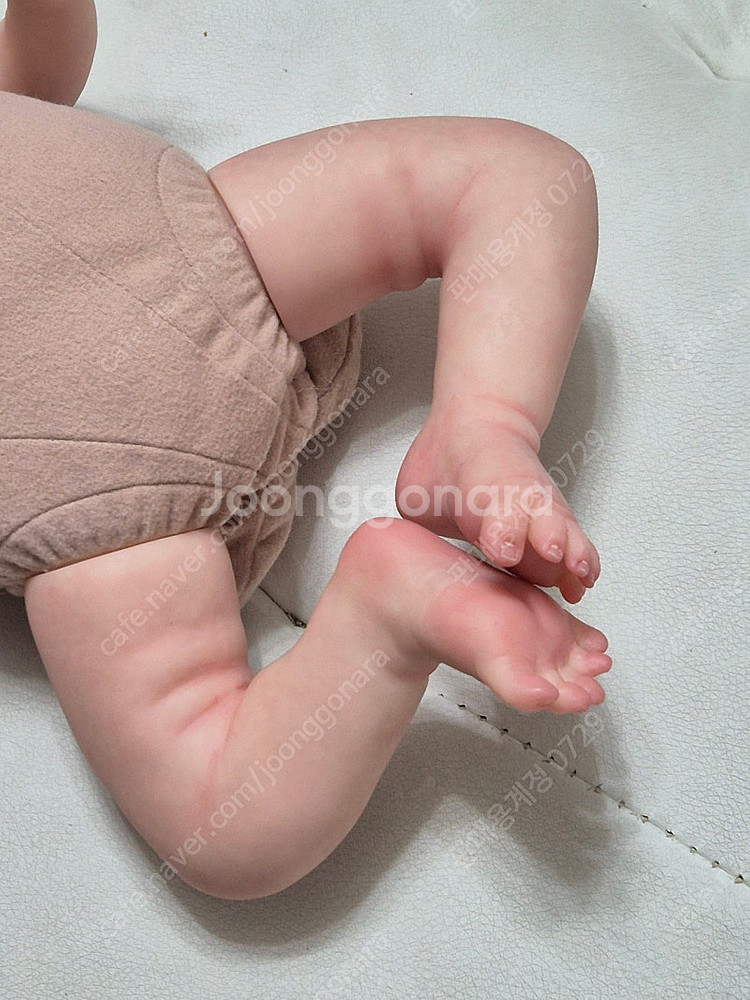 리본돌 Aster by Toby Morgan 정품--2