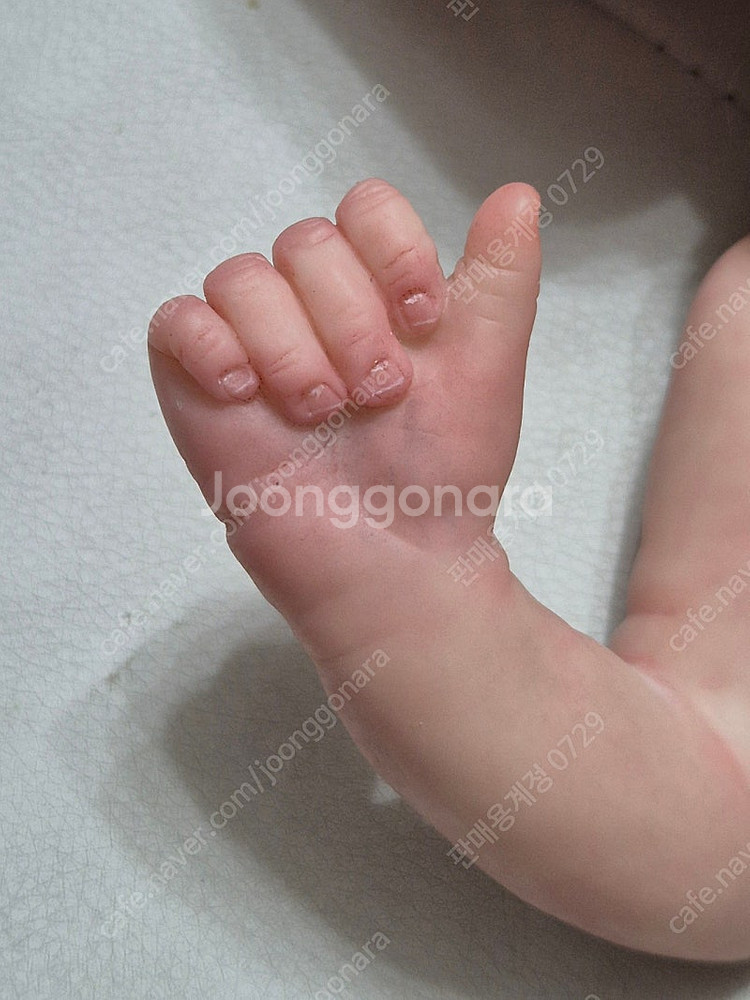 리본돌 Aster by Toby Morgan 정품--3