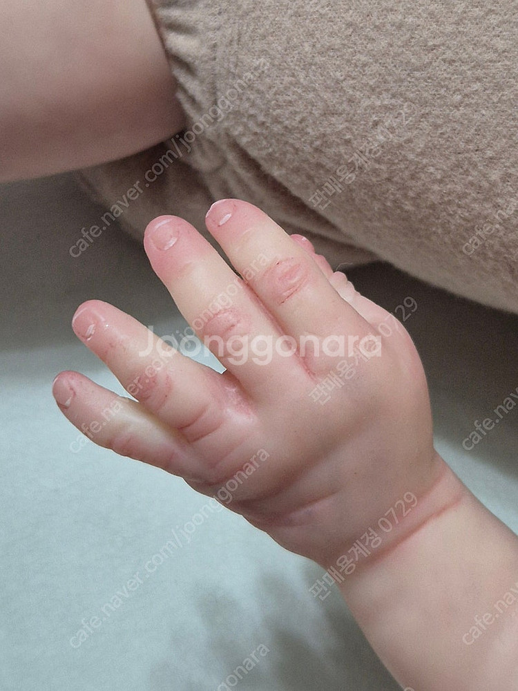 리본돌 Aster by Toby Morgan 정품--4