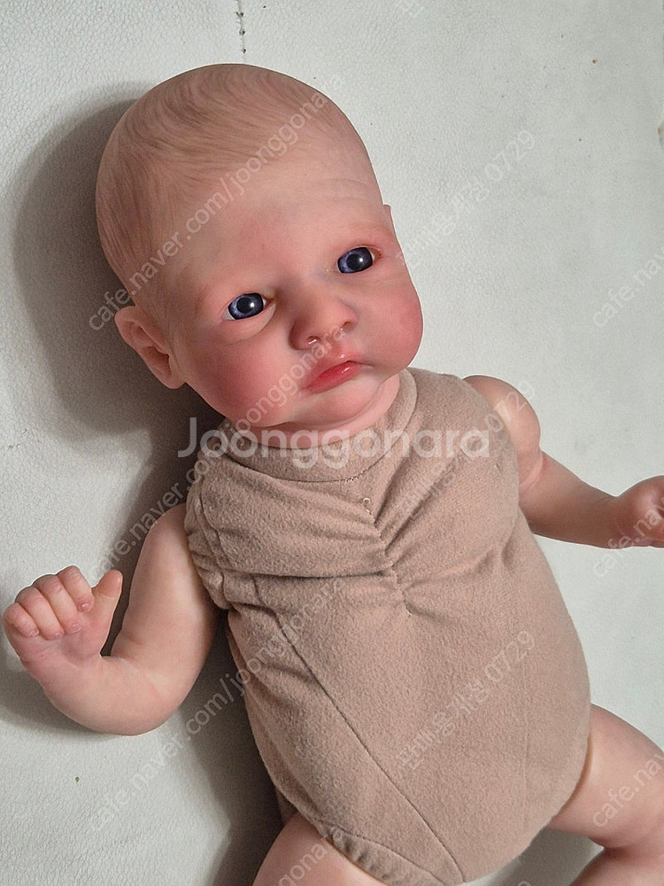 리본돌 Aster by Toby Morgan 정품--5