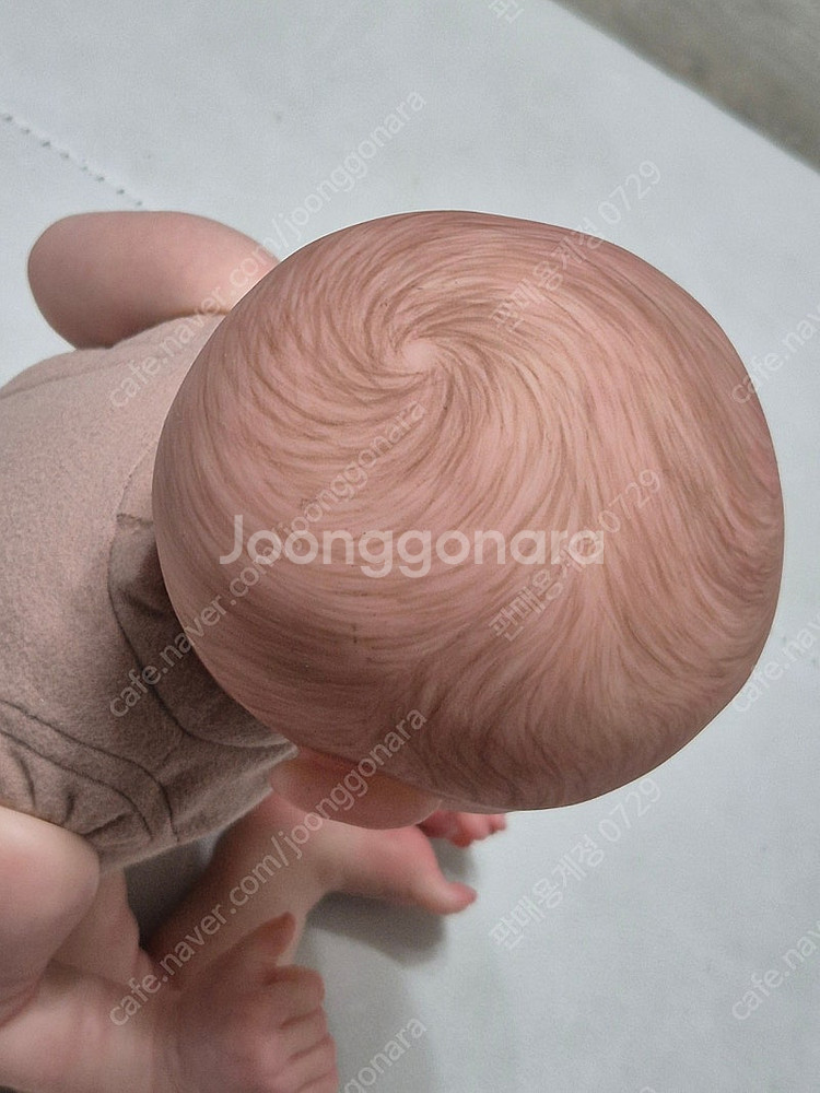 리본돌 Aster by Toby Morgan 정품--6