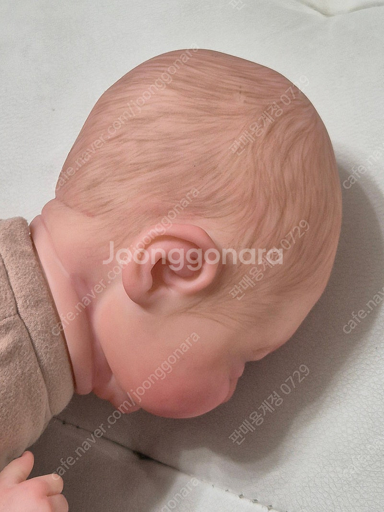 리본돌 Aster by Toby Morgan 정품--8