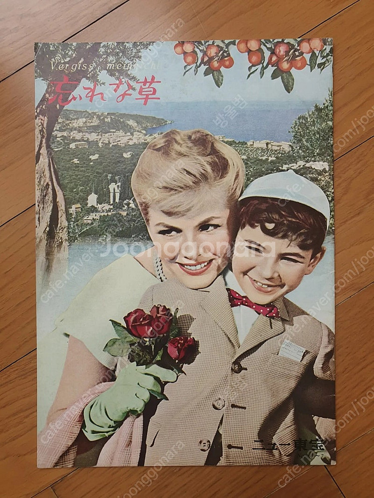 영화 물망초 판플렛--0