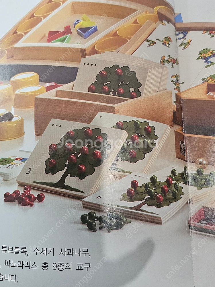 몬테소리 교구--1
