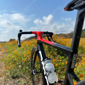 BMC 팀머신 slr01 one 51size
