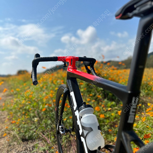 BMC 팀머신 slr01 one 51size