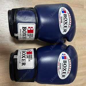 이사미 복서 10oz 글러브