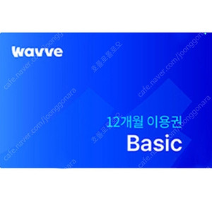 웨이브 베이직 스탠다드 프리미엄 12개월 이용권 구독권