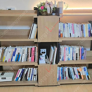 비앙스 로벤 1900 낮은책장