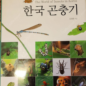 한국곤충기(택포)