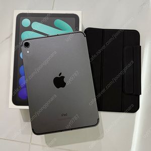 아이패드 미니6 셀룰러 64gb 스페이스 그레이