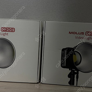지윤 몰루스g200 molus