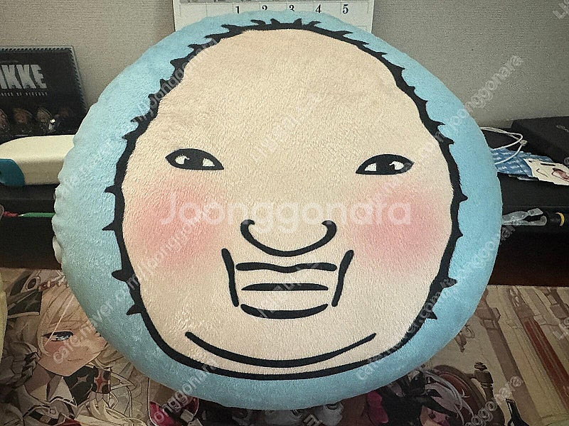 천양 쿠션--0