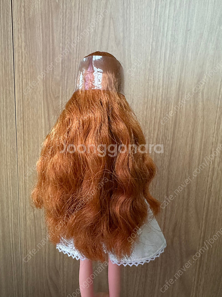 복각리카 20주년, 봉지리카--2