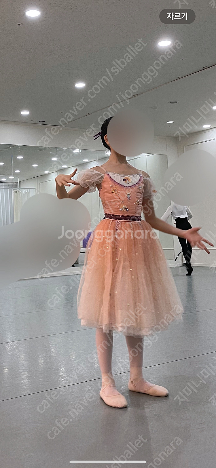 발레 콩쿨의상 무대의상 초고 엘의상실 로맨틱튜튜--0