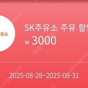 sk 주유권