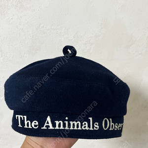 타오 베레모 네이비 m