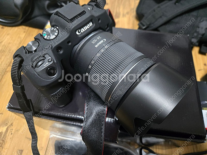 캐논 EOS R8 + RF50mm F1.8 STM 렌즈...--1